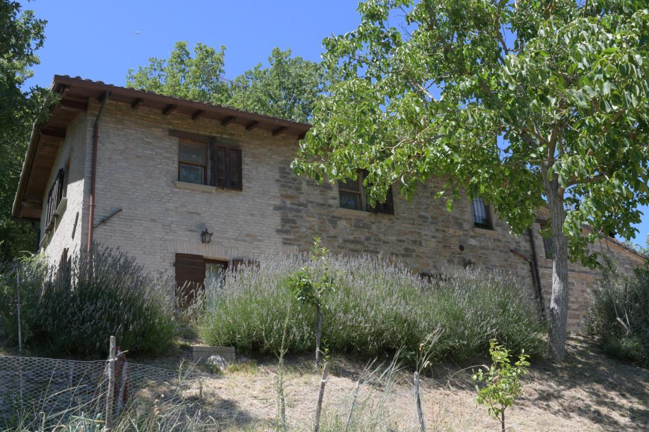 Localita S Cecilia 30, Urbania Διαμέρισμα Εξωτερικό φωτογραφία